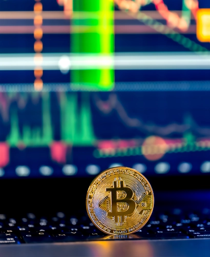 Redtemp Bitvexus Crypto Trading Information